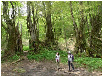 Amou Prefectural Natural Park