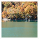 秋の白水湖(10月)